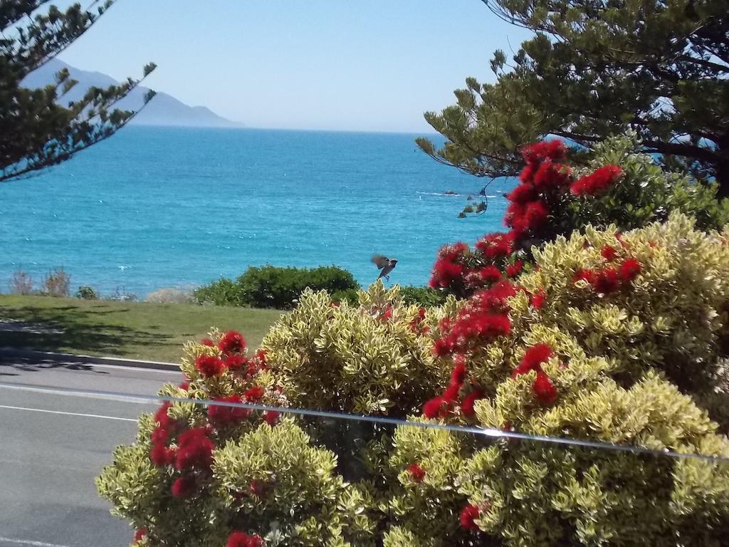 The Hamptons Bed & Breakfast Kaikoura Room photo